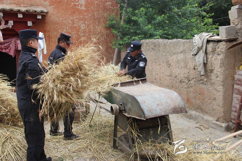 民警助農收麥忙(康巴傳媒網首屆紀實攝影大賽)