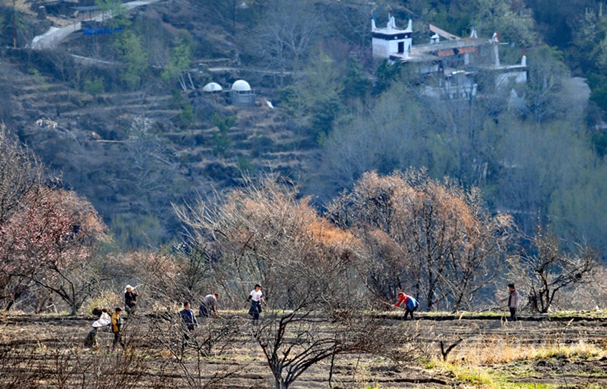 鉚足“?！眲鸥髅? onload=